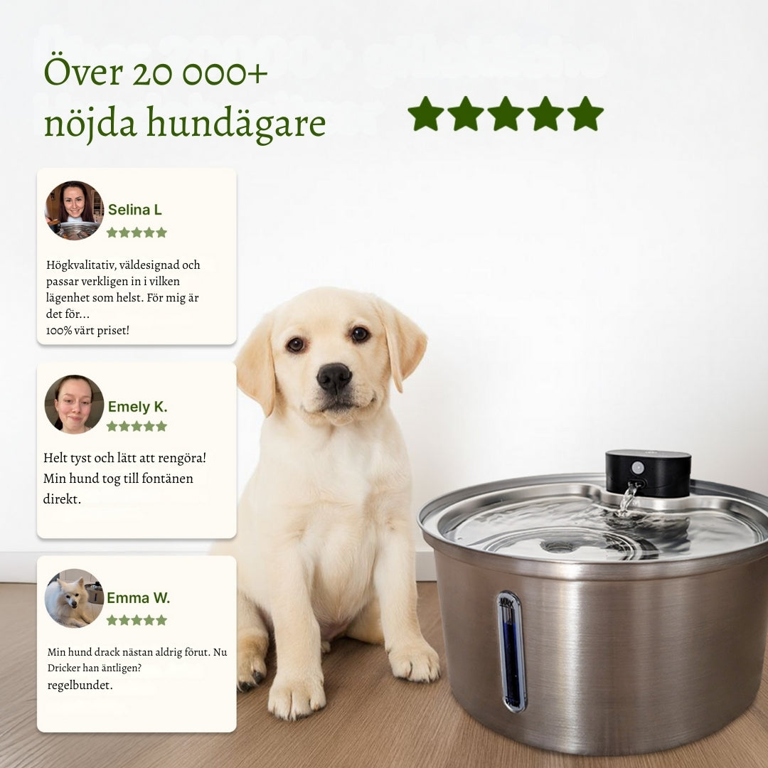TrinkTig – Rinnande vatten som din hund vill dricka